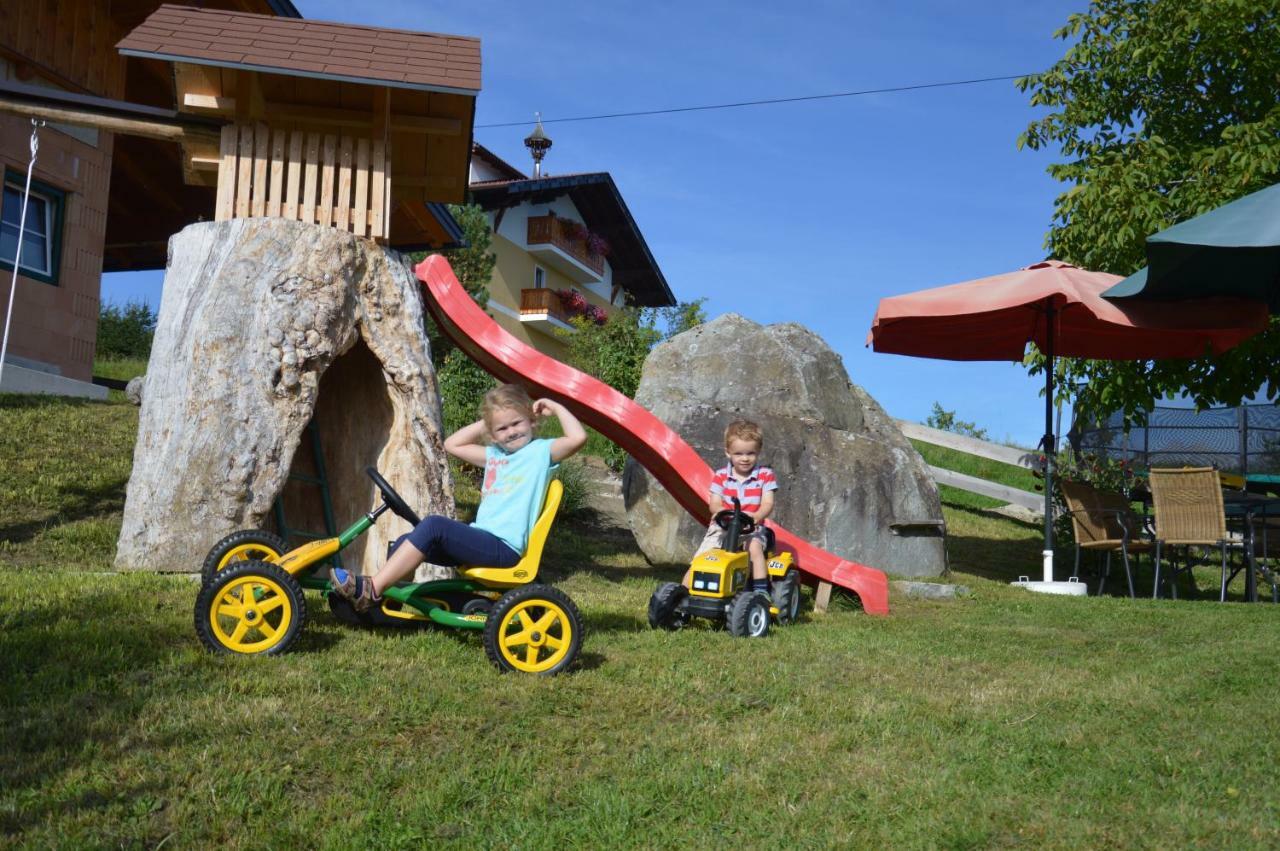 Villa Aignerhof Haus im Ennstal Esterno foto