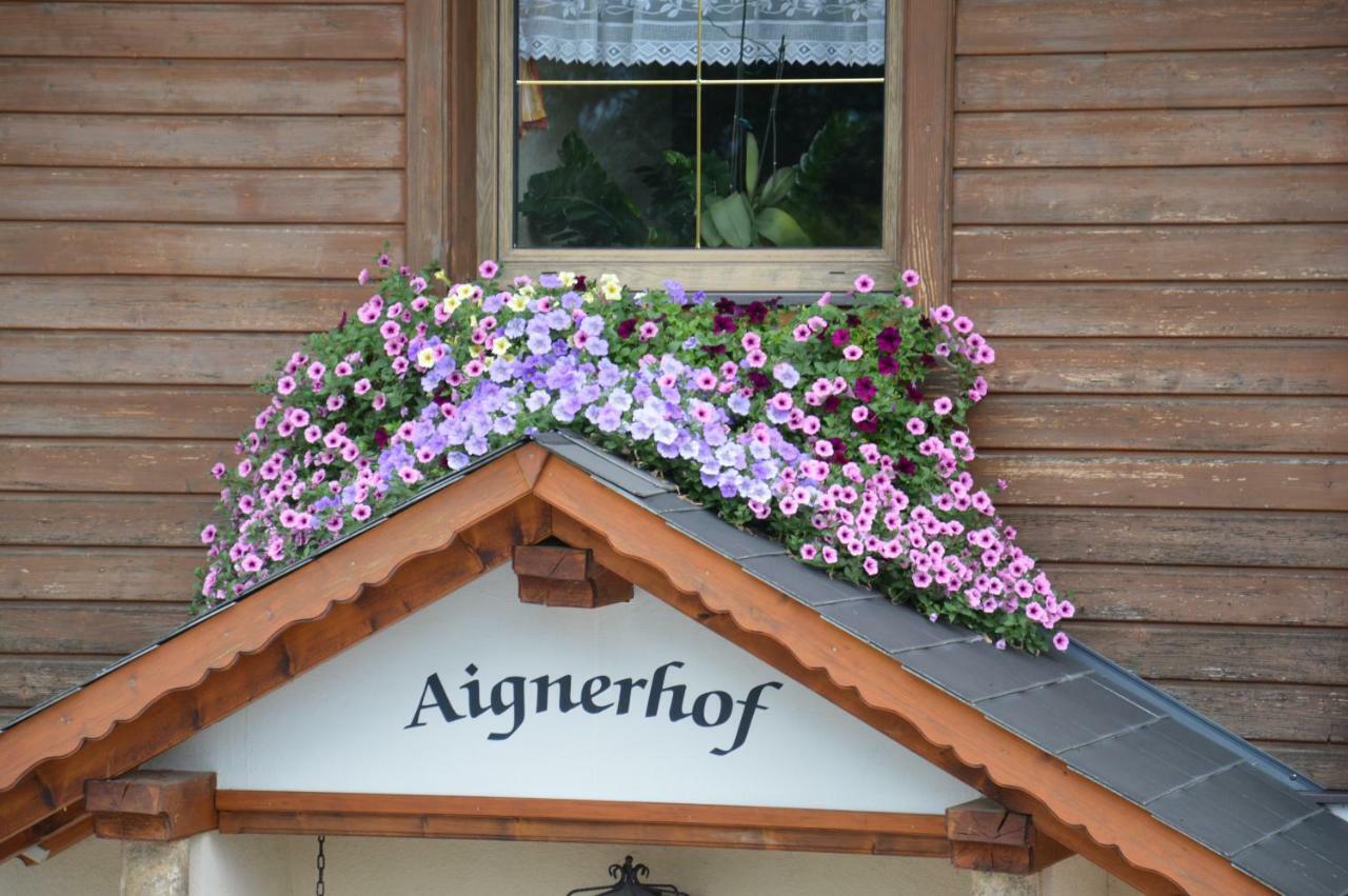 Villa Aignerhof Haus im Ennstal Esterno foto
